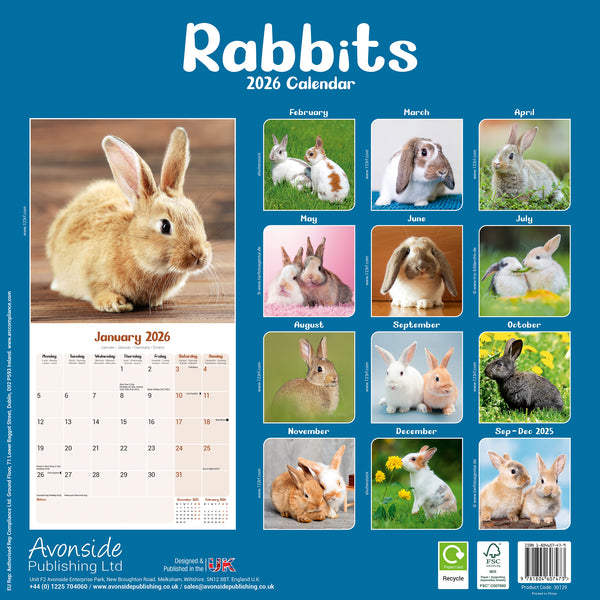 Rabbits Kalender 2026