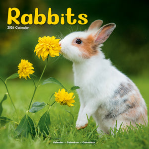 Rabbits Kalender 2026