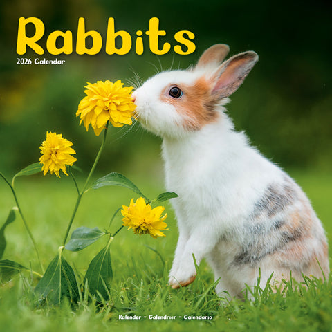 Rabbits Kalender 2026