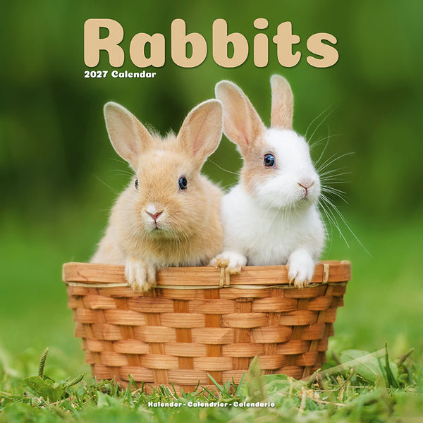 Rabbits Kalender 2027