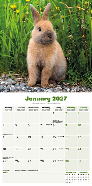 Rabbits Kalender 2027