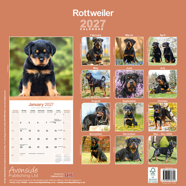 Rottweiler Kalender 2027