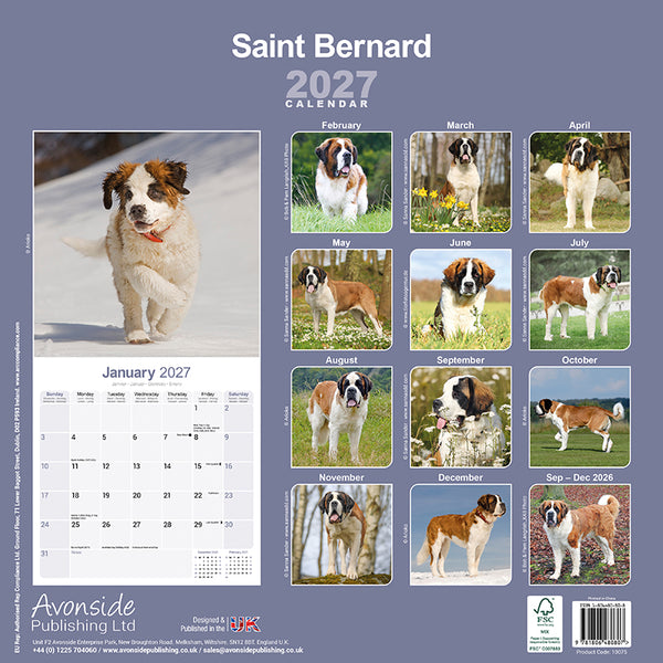 Saint Bernard Kalender 2027