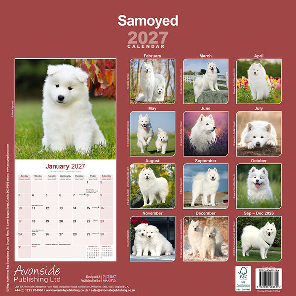 Samoyed Kalender 2027