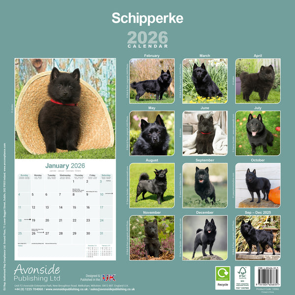 Schipperke Kalender 2026
