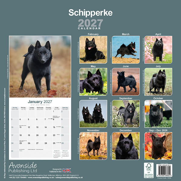Schipperke Kalender 2027