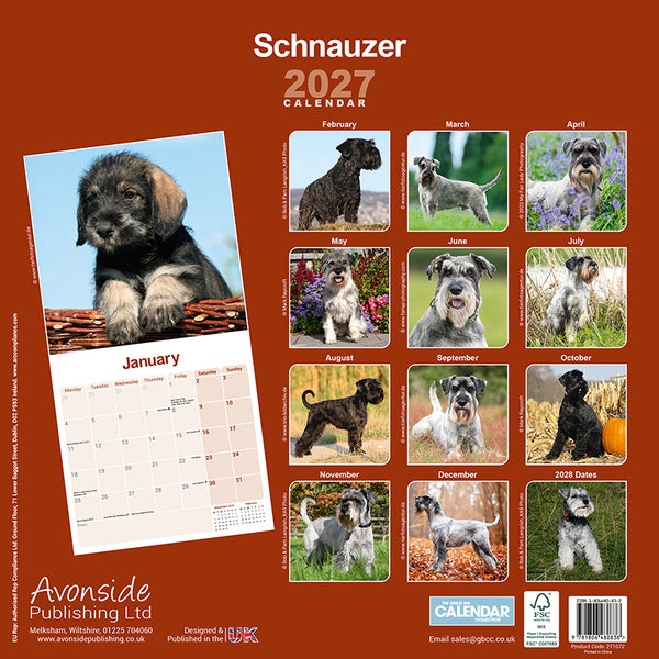 Scottisch Terrier Kalender 2027