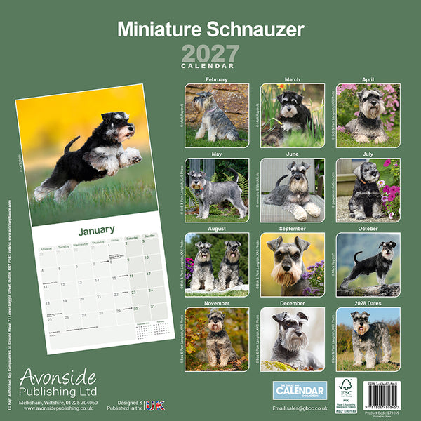 Miniature Schnauzer Kalender 2027
