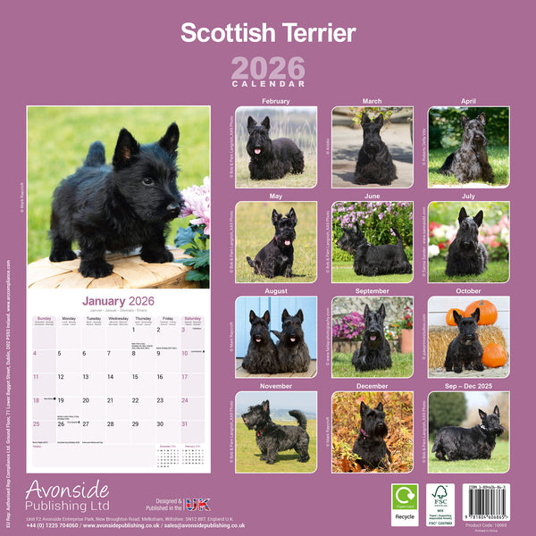Scottisch Terrier Kalender 2026