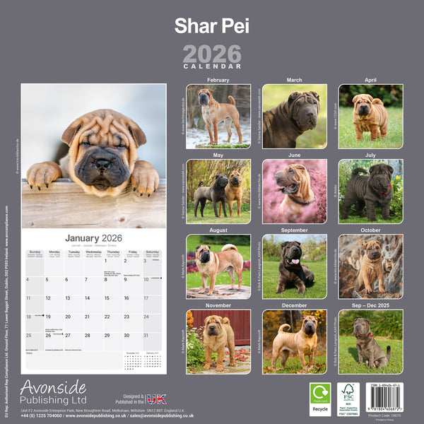 Shar Pei Kalender 2026