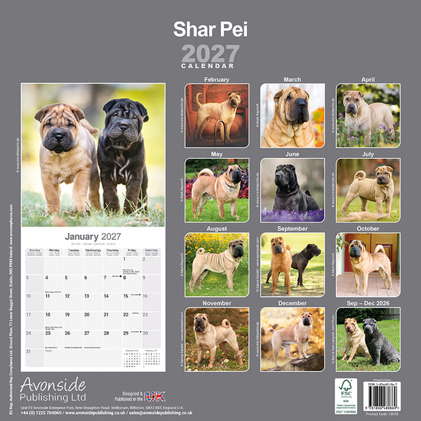 Shar Pei Kalender 2027