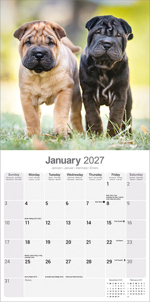 Shar Pei Kalender 2027