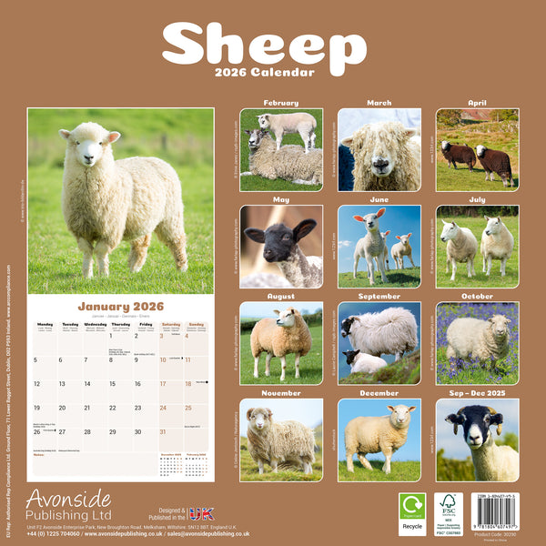 Sheep Kalender 2026