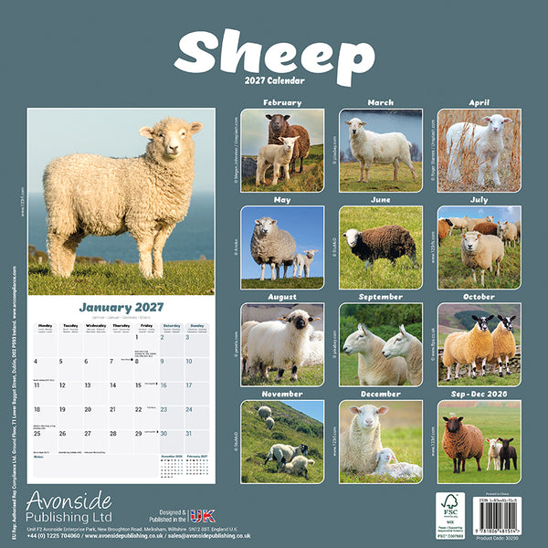 Sheep Kalender 2027