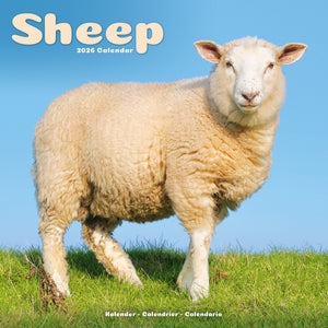 Sheep Kalender 2026