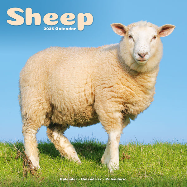 Sheep Kalender 2026