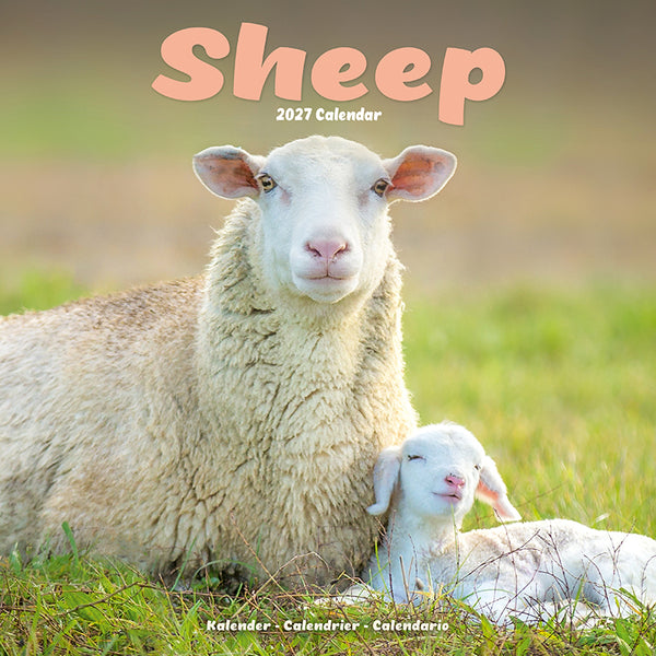 Sheep Kalender 2027