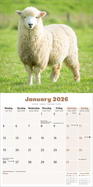 Sheep Kalender 2026