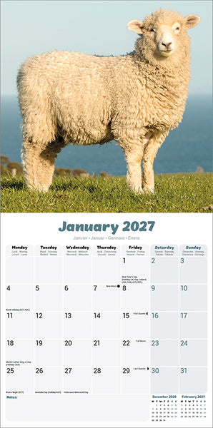 Sheep Kalender 2027