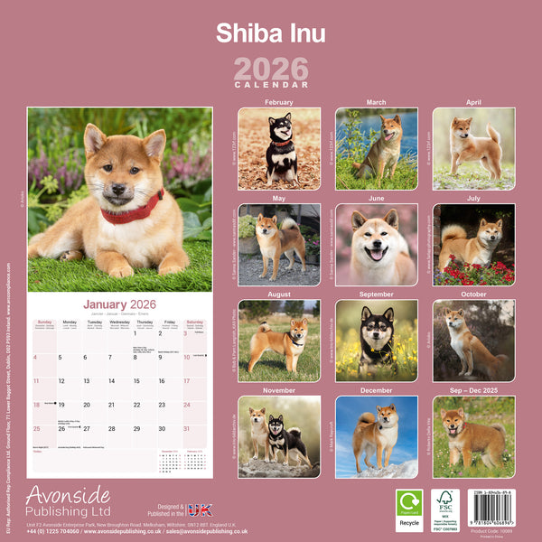 Shiba Inu Kalender 2026