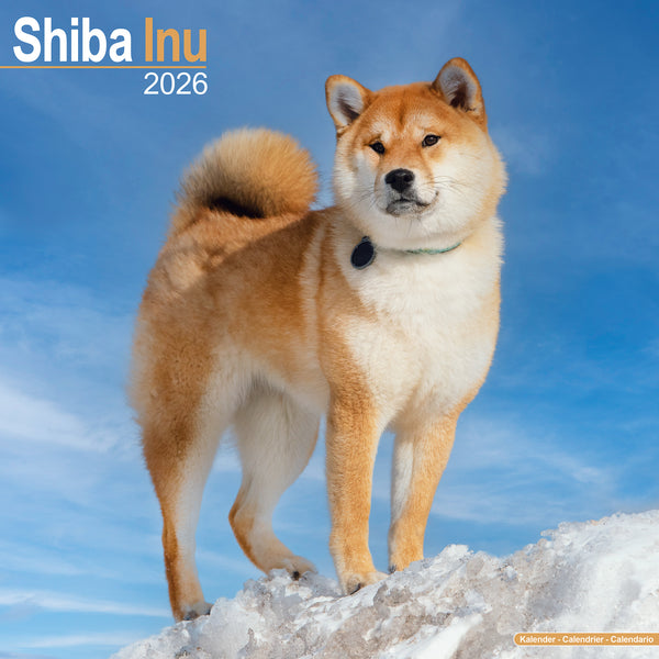 Shiba Inu Kalender 2026
