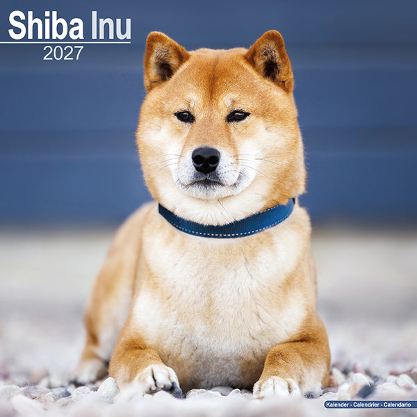 Shiba Inu Kalender 2027