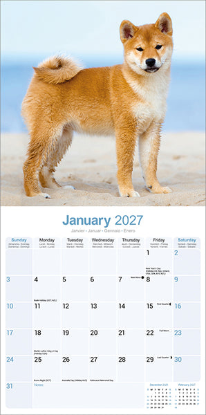 Shiba Inu Kalender 2027