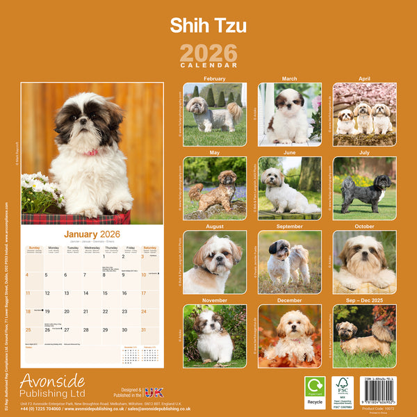 Shih Tzu Kalender 2026