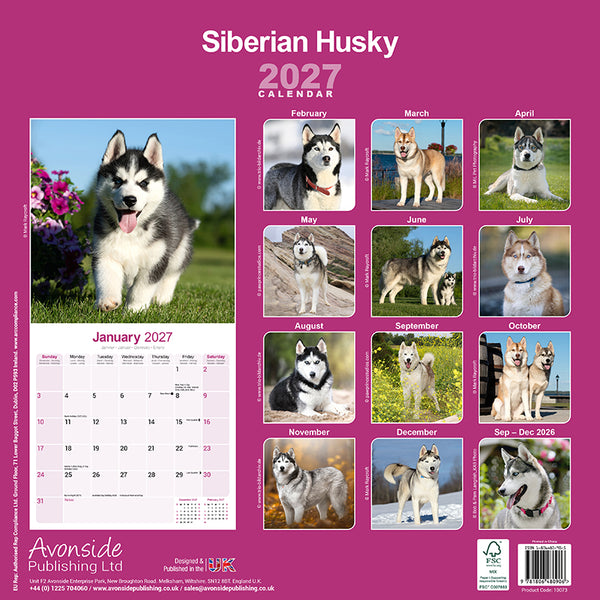 Siberian Husky Kalender 2027
