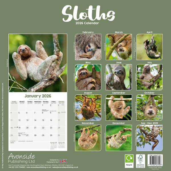 Sloths Kalender 2026
