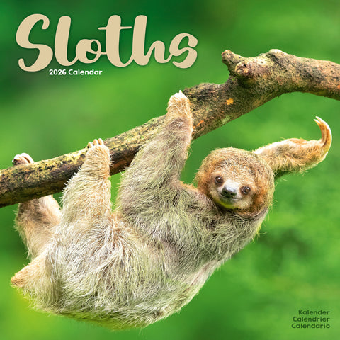 Sloths Kalender 2026