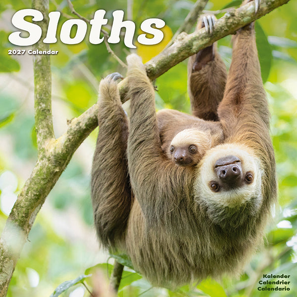 Sloths Kalender 2027