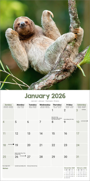 Sloths Kalender 2026