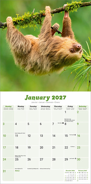 Sloths Kalender 2027