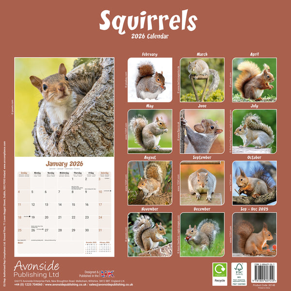 Squirrels Kalender 2026