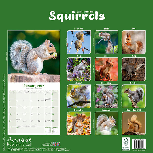 Squirrels Kalender 2027