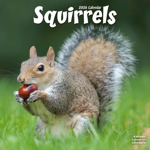Squirrels Kalender 2026