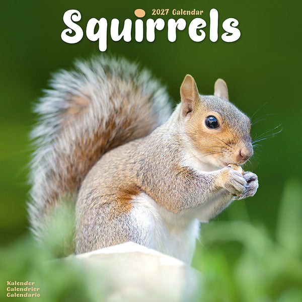 Squirrels Kalender 2027