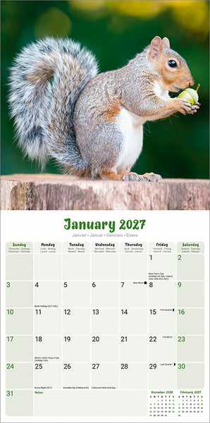 Squirrels Kalender 2027