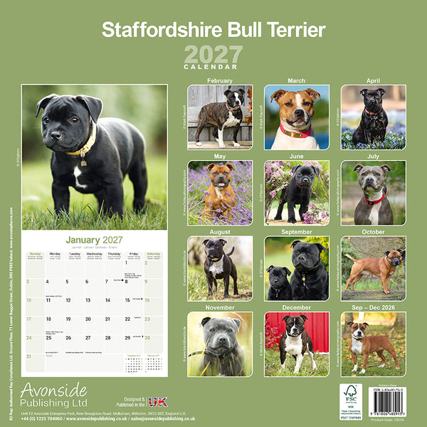 Staffordshire Bull Terrier Kalender 2027