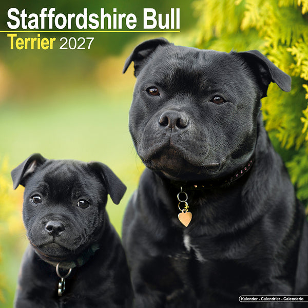 Staffordshire Bull Terrier Kalender 2027
