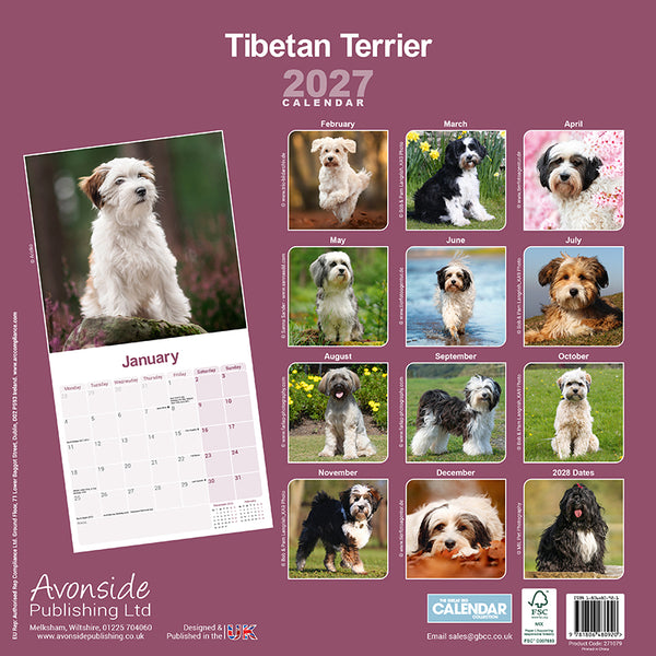 Tibetan Terrier Kalender 2027