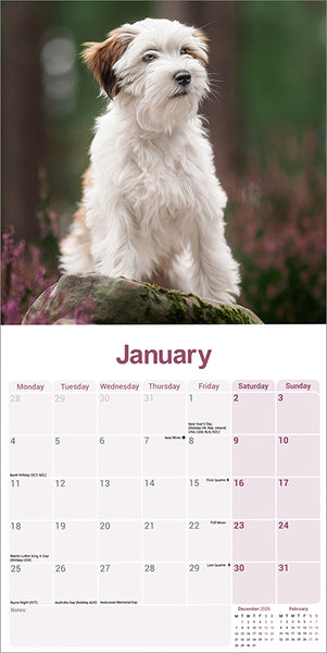 Tibetan Terrier Kalender 2027