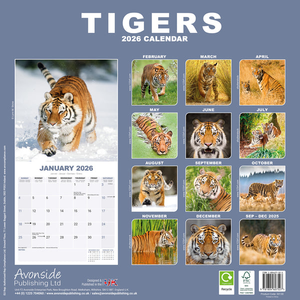 Tigers Kalender 2026