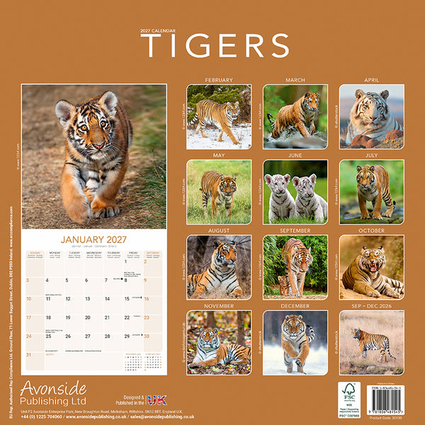 Tigers Kalender 2027