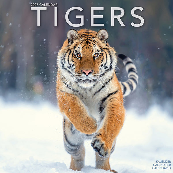 Tigers Kalender 2027
