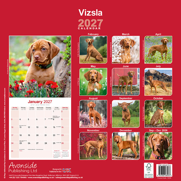 Vizsla Kalender 2027