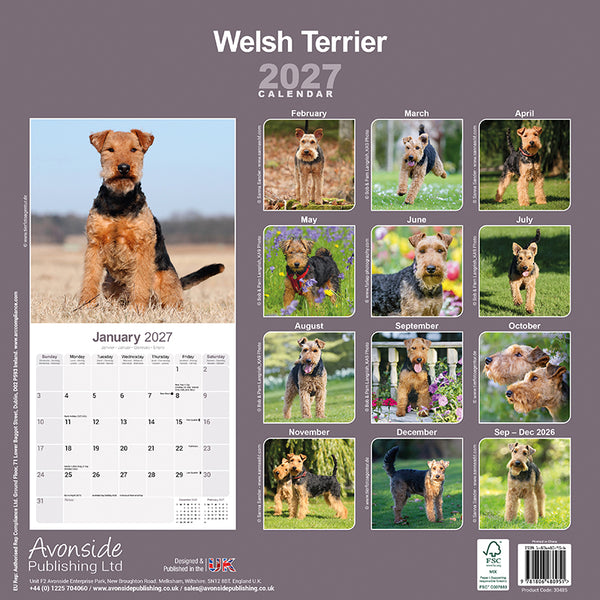 Welsh Terrier Kalender 2027