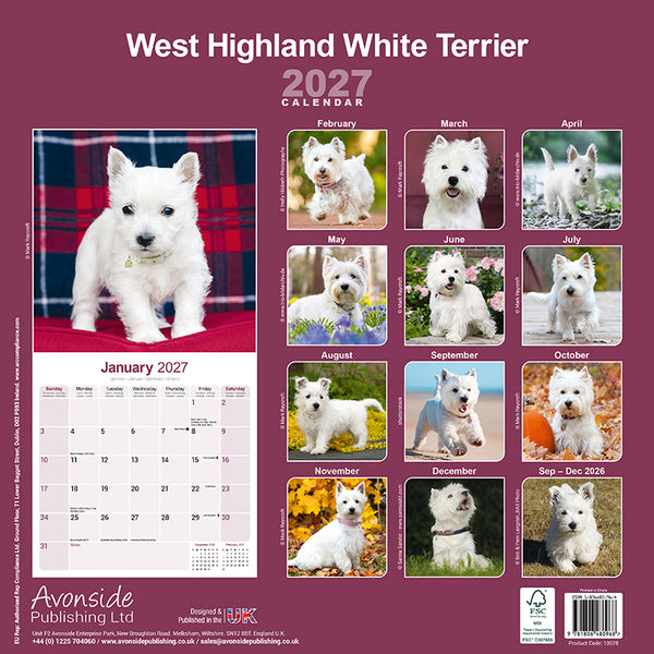 West Highland White Terrier Kalender 2027