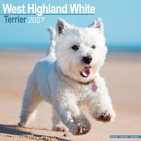 West Highland White Terrier Kalender 2027